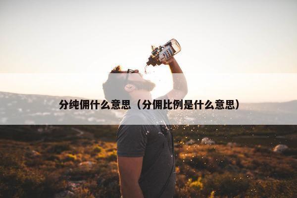分纯佣什么意思（分佣比例是什么意思）