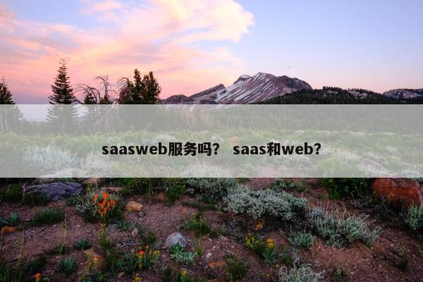saasweb服务吗？ saas和web？