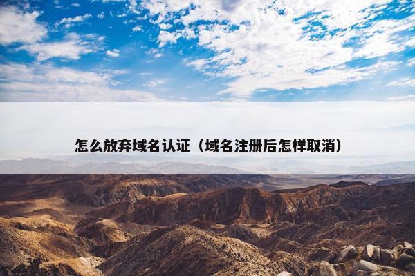 怎么放弃域名认证（域名注册后怎样取消）