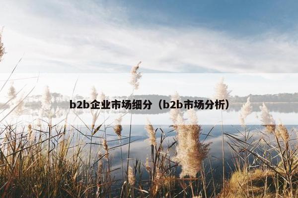 b2b企业市场细分（b2b市场分析）