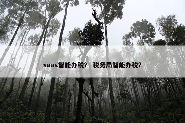 saas智能办税？ 税务局智能办税？