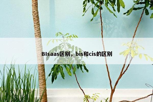 BIsaas区别,bis和cis的区别