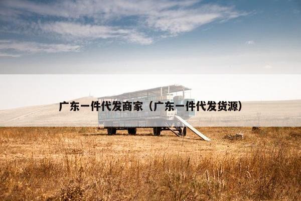 广东一件代发商家（广东一件代发货源）