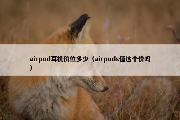 airpod耳机价位多少（airpods值这个价吗）
