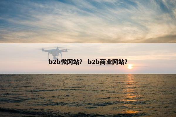 b2b微网站？ b2b商业网站？