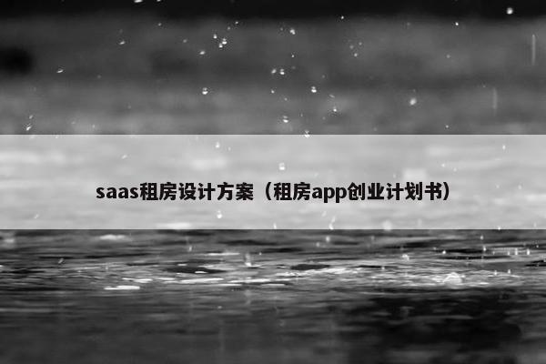 saas租房设计方案（租房app创业计划书）