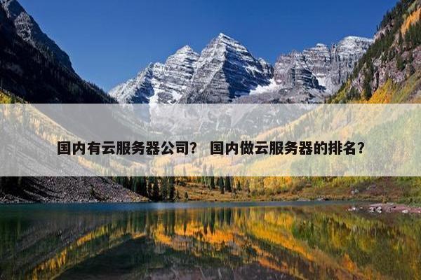 国内有云服务器公司？ 国内做云服务器的排名？