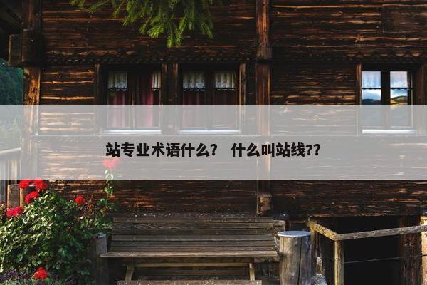 站专业术语什么？ 什么叫站线?？