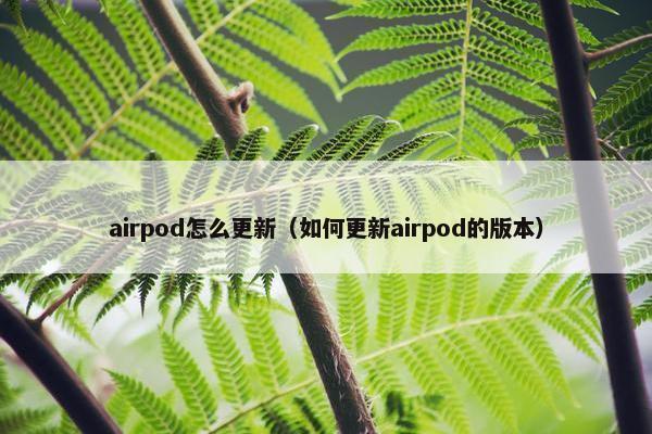 airpod怎么更新（如何更新airpod的版本）