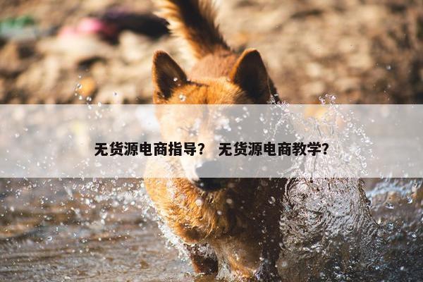 无货源电商指导？ 无货源电商教学？