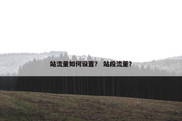 站流量如何设置？ 站段流量？
