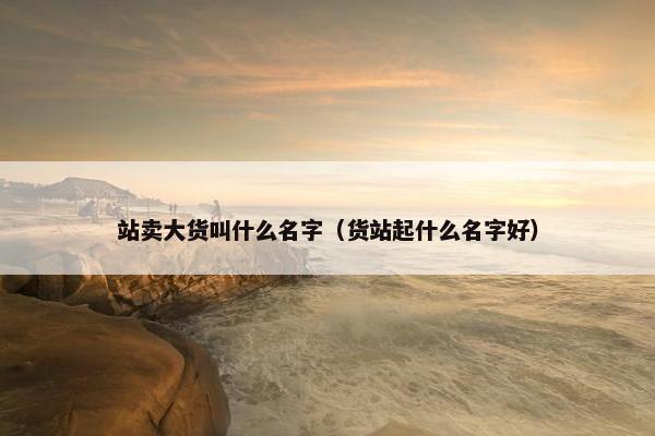 站卖大货叫什么名字（货站起什么名字好）