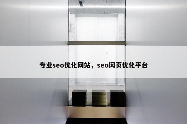 专业seo优化网站，seo网页优化平台