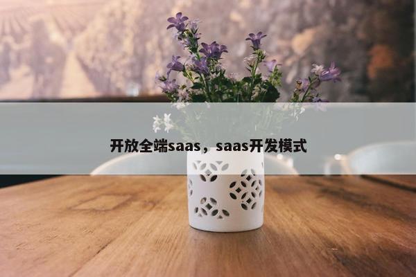 开放全端saas,saas开发模式