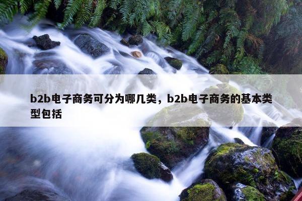 b2b电子商务可分为哪几类,b2b电子商务的基本类型包括
