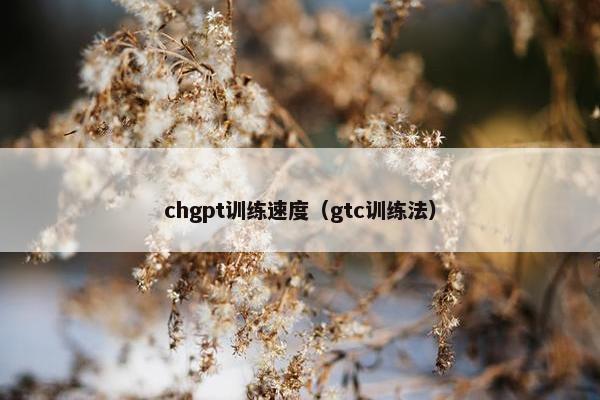 chgpt训练速度（gtc训练法）
