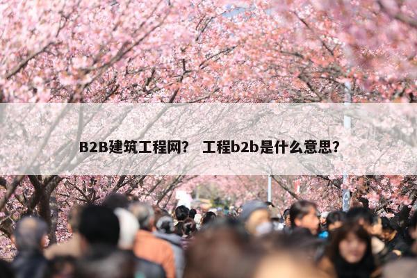 B2B建筑工程网？ 工程b2b是什么意思？