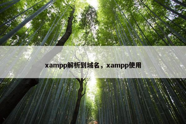 xampp解析到域名，xampp使用