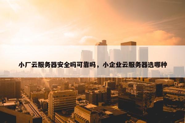 小厂云服务器安全吗可靠吗，小企业云服务器选哪种