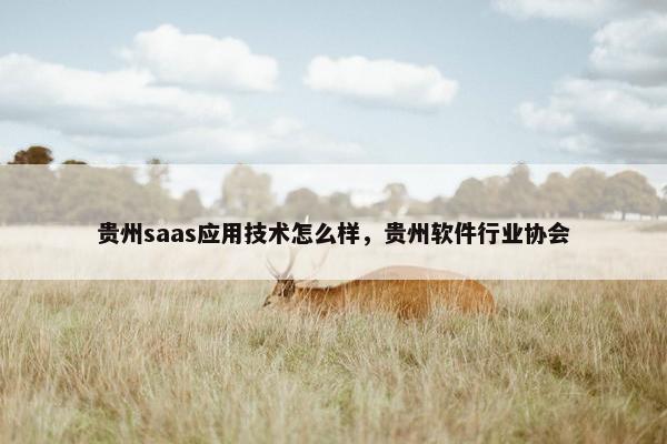 贵州saas应用技术怎么样，贵州软件行业协会