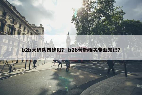 b2b营销队伍建设? b2b营销相关专业知识?