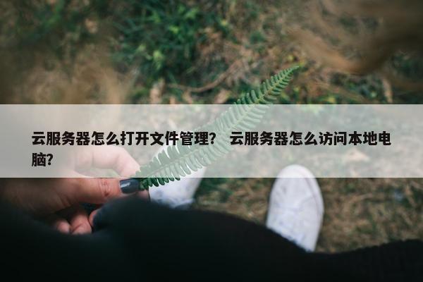 云服务器怎么打开文件管理？ 云服务器怎么访问本地电脑？