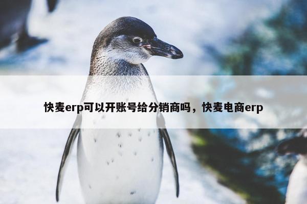 快麦erp可以开账号给分销商吗，快麦电商erp