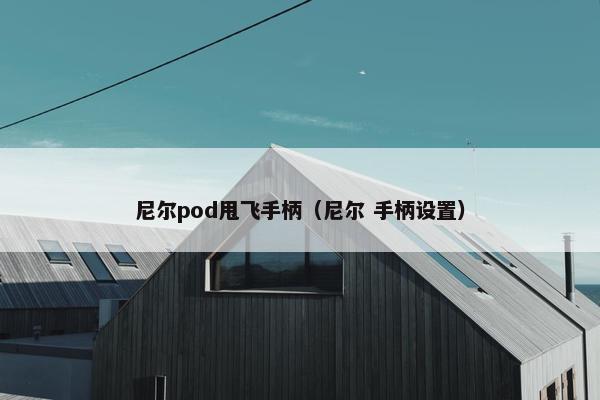 尼尔pod甩飞手柄（尼尔 手柄设置）