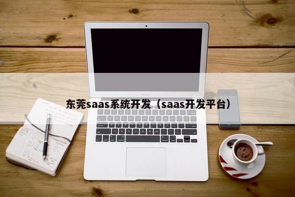 东莞saas系统开发（saas开发平台）