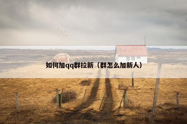 如何加qq群拉新（群怎么加新人）