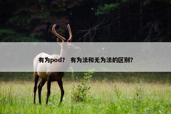 有为pod? 有为法和无为法的区别?