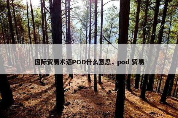 国际贸易术语POD什么意思,pod 贸易