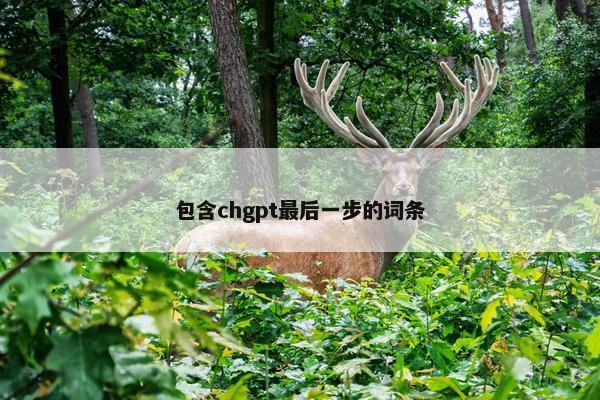 包含chgpt最后一步的词条