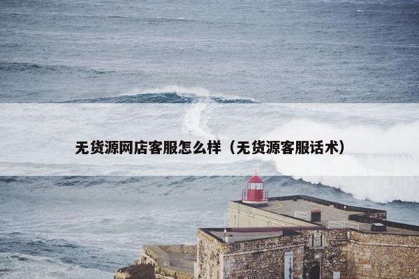 无货源网店客服怎么样（无货源客服话术）
