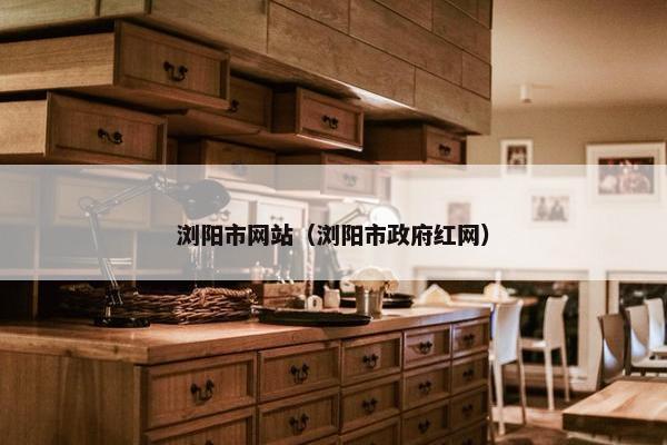 浏阳市网站(浏阳市政府红网)