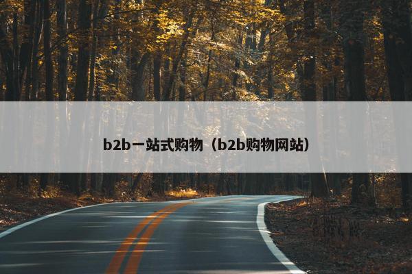 b2b一站式购物（b2b购物网站）