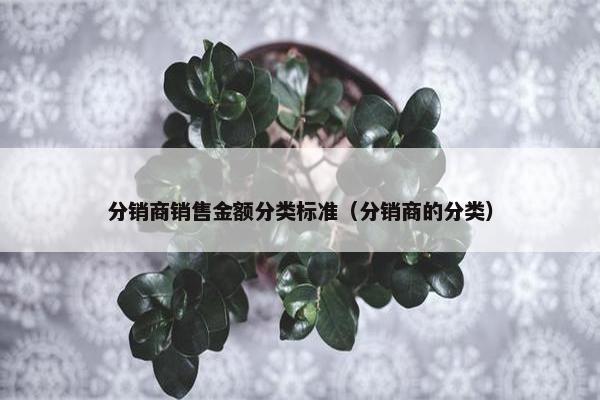 分销商销售金额分类标准(分销商的分类)