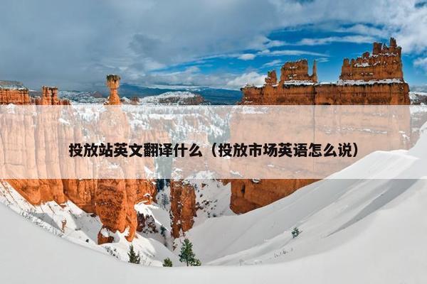 投放站英文翻译什么(投放市场英语怎么说)
