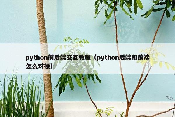 python前后端交互教程（python后端和前端怎么对接）