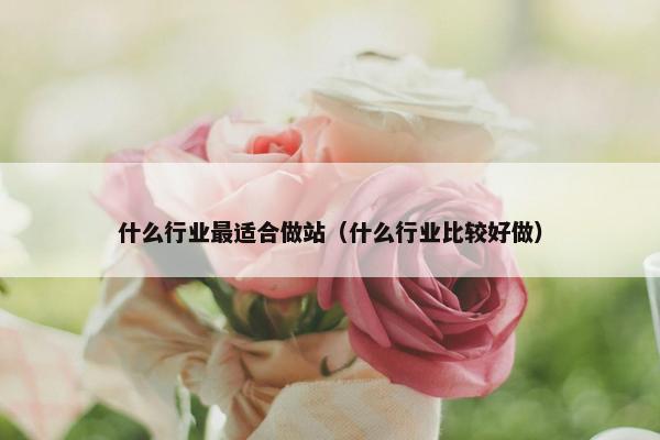 什么行业最适合做站(什么行业比较好做)