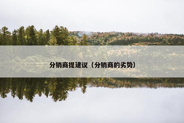 分销商提建议（分销商的劣势）