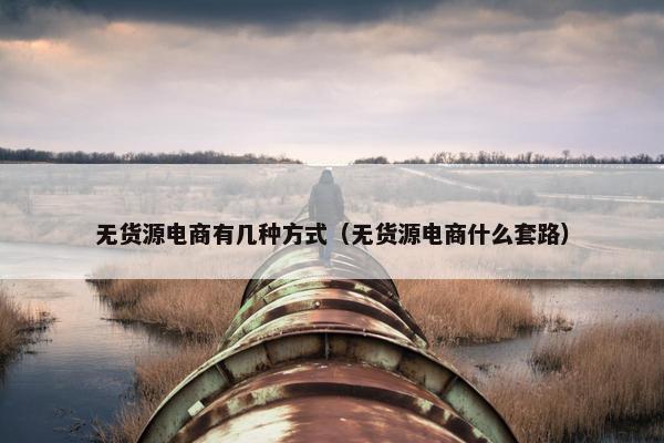 无货源电商有几种方式（无货源电商什么套路）