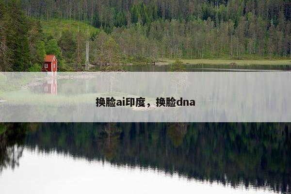 换脸ai印度，换脸dna