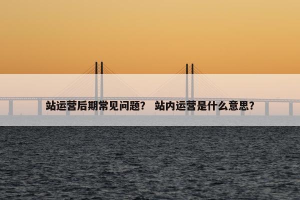 站运营后期常见问题? 站内运营是什么意思?