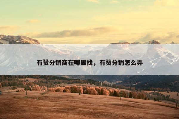 有赞分销商在哪里找,有赞分销怎么弄