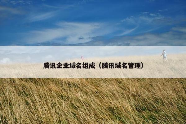 腾讯企业域名组成(腾讯域名管理)