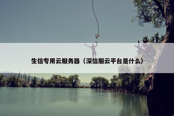 生信专用云服务器(深信服云平台是什么)