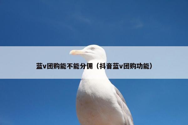 蓝v团购能不能分佣(抖音蓝v团购功能)