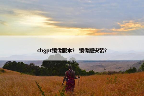 chgpt镜像版本? 镜像版安装?