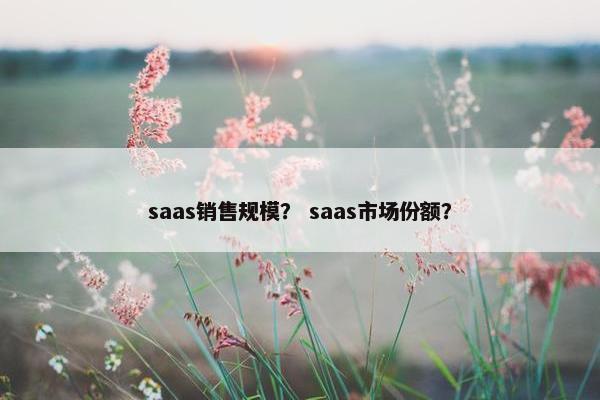 saas销售规模? saas市场份额?
